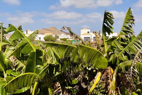 Villa i La Oliva, Fuerteventura, La Oliva - € 635.000 | Ref: villaoliva - foto 45
